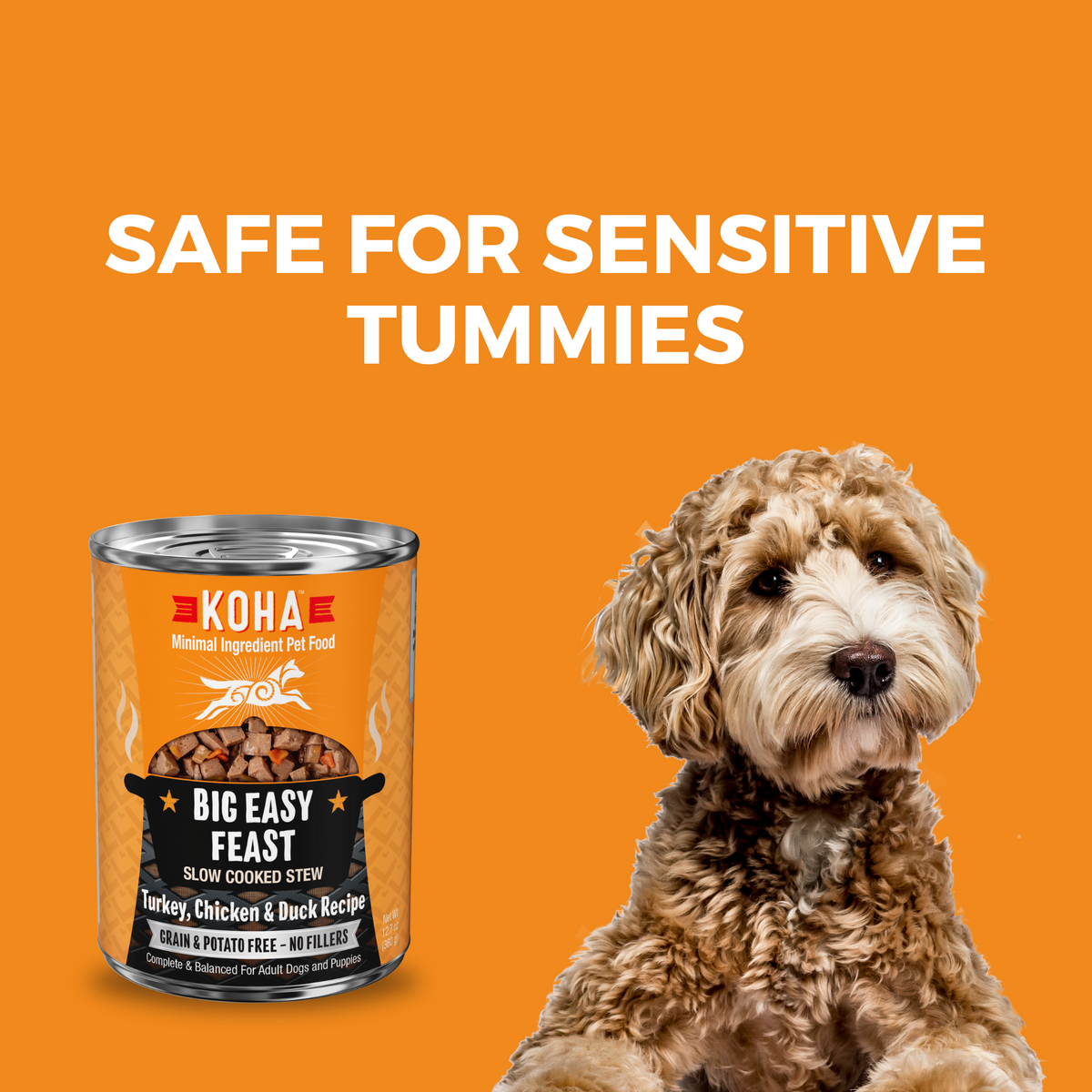 Koha Slow Cooked Dog Food Slow Cooked Stew Turkey, Chicken, Duck