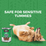 Minimal Ingredient Turkey Stew for Dogs