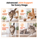 Promotional graphic for a cat joint support supplement, featuring four panels with different cats demonstrating healthy activities: jumping and climbing, playtime with a toy, maintaining healthy mobility, and maturing cats. The text at the top reads 'Advanced Joint Support for Every Stage'.