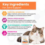 An informational graphic for a cat joint supplement. The top section has an orange header reading 'Key Ingredients For Joint Support' with four benefit callouts: eggshell membrane, green lipped mussel, glucosamine & chondroitin, and probiotics, each with an icon.