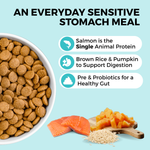 Limited Ingredient Dry Bland Diet Salmon & Brown Rice Recipe for Dogs