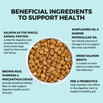 Limited Ingredient Dry Bland Diet Salmon & Brown Rice Recipe for Dogs