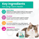 An informational graphic for a cat supplement titled 'Key Ingredients For Long-Term Health' with icons and text for EPA & DHA, Taurine, L-Lysine, and Probiotics. A white jar labeled 'PROBABILITY Multithiobar' is shown at the bottom right, alongside a fluffy white and brown cat on a light gray background with faint geometric shapes.