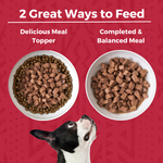 Minimal Ingredient Beef Stew for Dogs