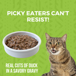 Minimal Ingredient Duck Stew for Cats