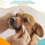 Waterless Shampoo Wipes with Aloe & Oatmeal - Cucumber Melon