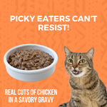 Minimal Ingredient Chicken Stew for Cats