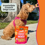 Crunchy Minis Chicken & Rice Recipe
