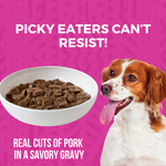 Minimal Ingredient Pork Stew for Dogs