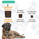 ProgilityMax Hip & Joint Soft Chew Supplement with Eggshell Membrane for Dogs