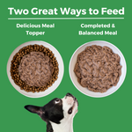 Limited Ingredient Diet Turkey Entrée for Dogs