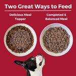 Limited Ingredient Diet Beef Entrée for Dogs