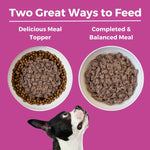 Limited Ingredient Diet Pork Entrée for Dogs