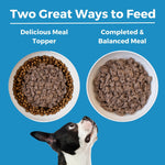 Limited Ingredient Diet Lamb Entrée for Dogs