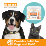 Medicated Ear Finger Wipes for Dogs and Cats