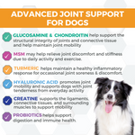 Progility Hip & Joint Soft Chew Supplements for Dogs