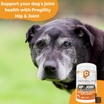 Progility Hip & Joint Soft Chew Supplements for Dogs