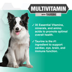 Progility Multivitamin Soft Chew Supplements for Dogs