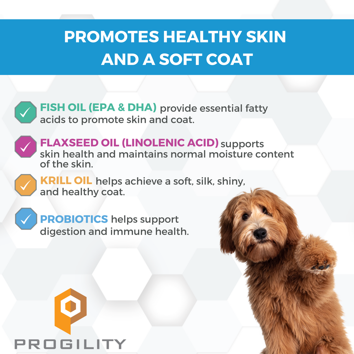 Progility Skin & Coat Soft Chew Supplement for Dogs – Nootie Koha Wholesale